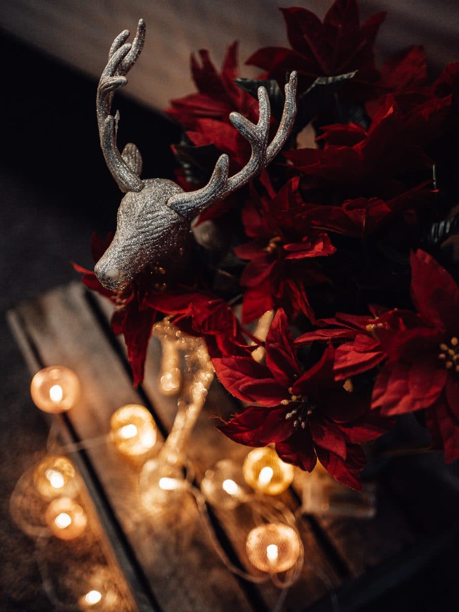 Weihnachts-Catering: weihnachtlich geschmückter Stand mit Hirsch, Weihnachtsstern und Lichtern